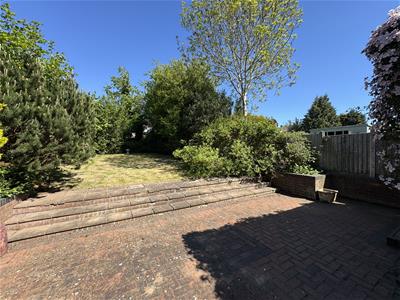 Picture 17